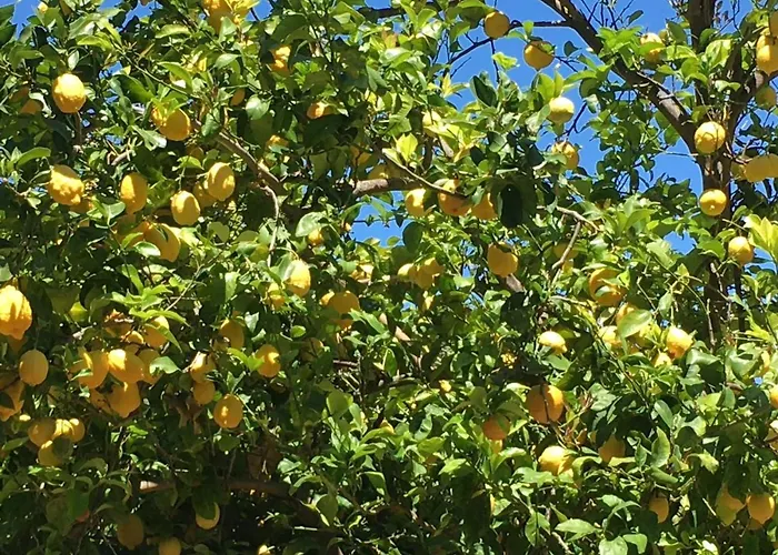 Maison De Caractere Casa Leca, Piscine Privee Chauffee *