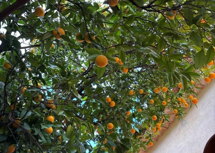 Maison De Caractere Casa Leca, Piscine Privee Chauffee