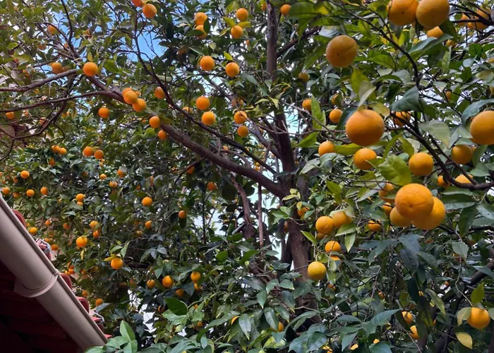 Vakantiehuis Maison De Caractere Casa Leca, Piscine Privee Chauffee *